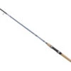 Daiwa Aird Coastal Inshore Spinning Rods -Fishing Specialty Shop daiwa aird coastal inshore rods 12731.1651169748.386.513