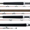 Daiwa V.I.P. A Saltwater Rods -Fishing Specialty Shop daiwa vip a saltwater rods 06467.1651076951