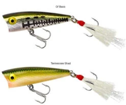 Rebel P50 Teeny Pop-R 2in -Fishing Specialty Shop rebel p50 teeny pop r 2in 18331.1651013318