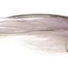 Umpqua Rogers Big Eye Baitfish -Fishing Specialty Shop rogbigeyebai 73621.1650842439.386.513