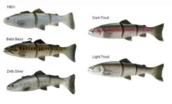 Savage Gear 3D Line Thru Trout 9 Savage Gear 3D Line Thru Trout -Fishing Specialty Shop savage gear 3d line thru trout lures 63560.1651163325
