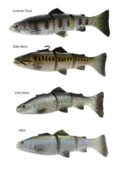 Savage Gear 3D Line Thru Trout 8 Savage Gear 3D Line Thru Trout -Fishing Specialty Shop savage gear 3d line thru trout lures 65354.1651163324