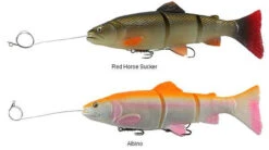New Arrival -Fishing Specialty Shop savage gear pre rigged 3d line thru trout lures 89082.1650821678
