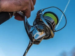 Shimano Stradic FL Spinning Reels -Fishing Specialty Shop shimano stradic fl spinning reels 33628.1651246853