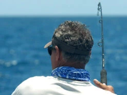 Shimano Terez Conventional Rods -Fishing Specialty Shop shimano terez conventional fishing rods 83511.1661538644